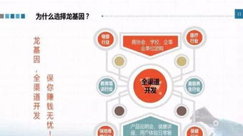 龍基因加盟 實(shí)體店培訓(xùn)成就火爆加盟店，教育信息咨詢(xún)助力創(chuàng)業(yè)成功