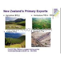 2019年因私出入境中介服務市場 批發商角色的深化與挑戰